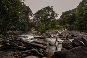 Restoring the links between people and nature is vital to feed the world in a sustainable manner 