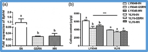 The control of the brown planthopper by the rice Bph14 gene is affected by nitrogen