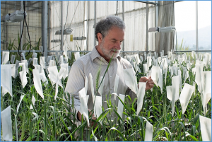 Climate change challenges plant breeding