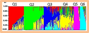 Genome Wide Association Study and Genomic Selection of Amino Acid Concentrations in Soybean Seeds.