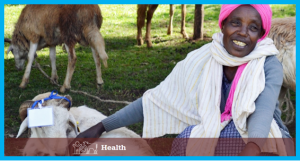 EMERGING DISEASES: Annual cost of new human diseases transmitted from animals - $ 6.7 BILLION