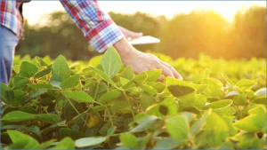 FAO hails first contribution to promoting digital agriculture through knowledge-sharing