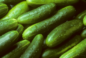 Researchers Pinpoint Gene that Could Help Cucumbers Survive Climate Change