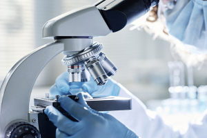 Novel Method for Efficient Transport of Large Genes