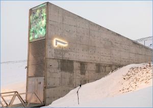Ghana is the 100th Depositor to the Svalbard Global Seed Vault