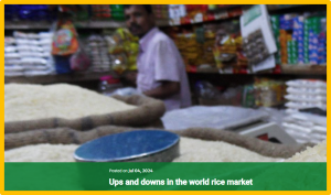 Ups and downs in the world rice market
