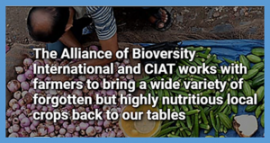 An Alliance for Accelerated Change