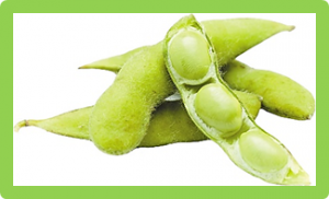 The patterns of deleterious mutations during the domestication of soybean