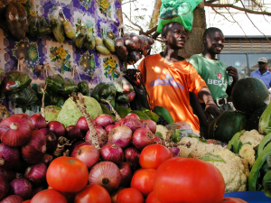 Poverty, price, and preference: New study examines barriers to dietary change in sub-Saharan Africa