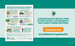 Contributions of Biotech Crops to Food Security, Sustainability, and Climate Change Solutions
