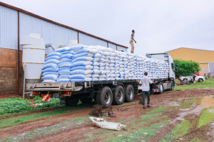 FAO calls for urgent action to address widening famine in Sudan