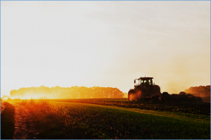 Accelerating Agricultural R&D Transfer Enhances Global Food Security
