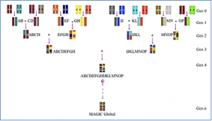 Exploring genetic architecture of grain yield and quality traits in a 16-way indica by japonica rice MAGIC global population
