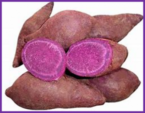 RNA sequencing analysis revealed genes associated drought stress responses of different durations in hexaploid sweet potato