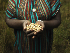 IFAD at the 2025 N4G Paris Summit