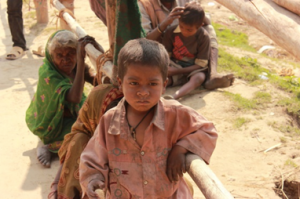 FAO Reports Lack of Progress in Achieving SDG