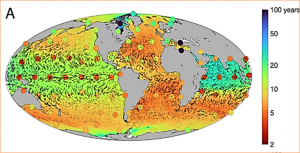 Selective constraints on global plankton dispersal