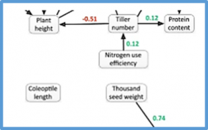 Genomic structural equation modelling provides a whole-system approach for the future crop breeding