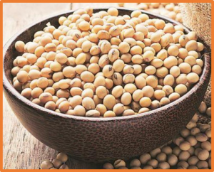 Genome-wide identification and analysis of soybean acyl-ACP thioesterase gene family reveals the role of GmFAT to improve fatty acid composition in soybean seed