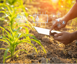 Researchers to Collaborate in Developing Smart Breeding Methods for More Resilient Crops