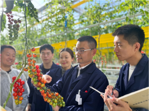 Scientists Develop Breeding Strategies to Create Climate-smart Crops
