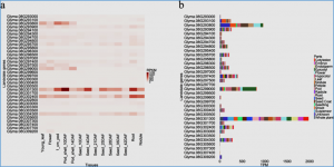 QTL mapping and whole-genome sequencing analysis for novel genetic resources associated with sucrose content in soybean [Glycine max (L.) Merr.]