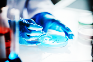 EFSA Releases Scientific Opinion on the Food Enzyme Endo-1,4-&beta;-xylanase from GM Bacillus subtilis strain AR-153