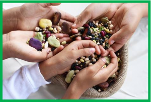 Nature`s nutritious seeds: 10 reasons why you should opt for pulses