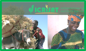 One CGIAR Global Webinar Series on Genome Editing in Agriculture: Innovations for Sustainable Production and Food Systems
