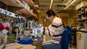 Researchers Invent Compact CRISPR System But More Potent and Precise