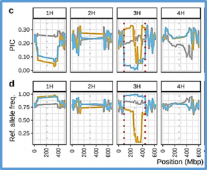 Major chromosome 5H haplotype switch structures the European two-rowed spring barley germplasm of the past 190 years