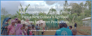 Innovative Sweet Potato Breeding and Conservation: Transforming Papua New Guinea`s Agri Agrifood Systems for Better 