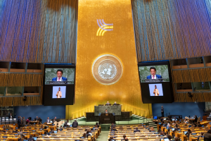 UNGA79: FAO welcomes adoption of UN Pact for the Future