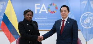 Bilateral meeting with the Vice-President and Minister of Equality and Equity of the Republic of Colombia - Her Excellency Francia Elena M&aacute;rquez Mina