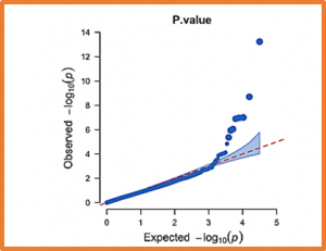 Genomic regions associated with resistance to soybean rust (Phakopsora pachyrhizi) under field conditions in soybean germplasm accessions from Japan, Indonesia and Vietnam