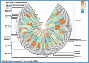 Combining transcriptomics and metabolomics to identify key response genes for aluminum toxicity in the root system of Brassica napus L. seedlings
