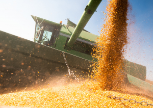EPA, FDA, and USDA Issue Updates to Joint Regulatory Plan for Biotechnology