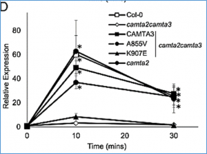 Calcium signaling triggers early high humidity responses in Arabidopsis thaliana