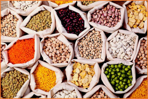 Genetic Augmentation of Legume Crops Using Genomic Resources and Genotyping Platforms for Nutritional Food Security