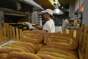 World food prices dip in August