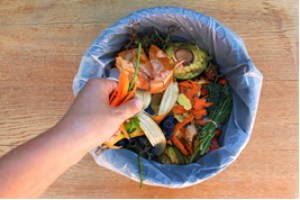 14% of Global Food Goes to Waste, FAO Reports