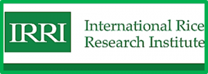 ASEAN Agriculture and Forestry Ministers Call for Sustained Significant Investment in Rice Research