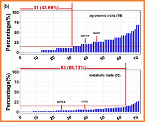 The genetic architecture of the dynamic changes in grain moisture in maize