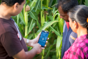 FAO puts focus on importance of technology for International Day of Plant Health