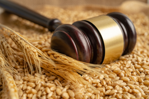 Regulatory Barriers Delay Adoption of Gene Editing Technologies