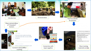 Change of training approach improves farmers` reception to SAPLING innovations in Vietnam