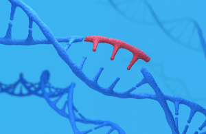 ISAAA Launches Open-access Resources on Genome Editing