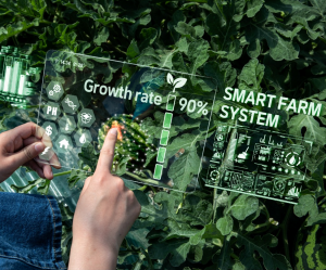 Researchers Utilize AI to Optimize Plant Breeding