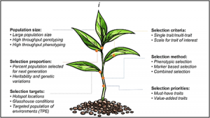 Genomics and breeding innovations for enhancing genetic gain for climate resilience and nutrition traits