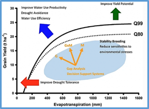 Tackling G&thinsp;&times;&thinsp;E&thinsp;&times;&thinsp;M interactions to close on-farm yield-gaps: creating novel pathways for crop improvement by predicting contributions of genetics and management to crop productivity